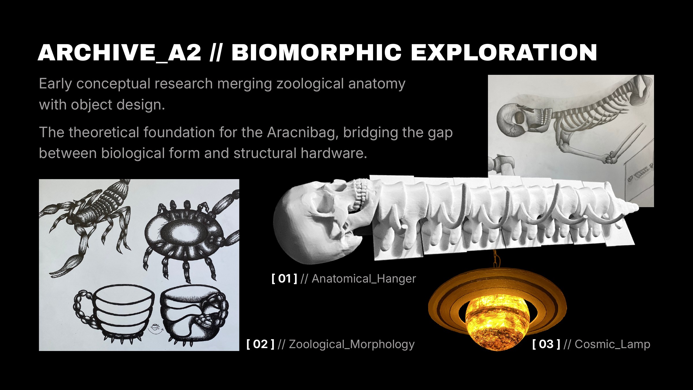 Biomorphic exploration: ink drawings of a scorpion and insect-legged cup, a plaster skull-and-spine coat hanger and a glowing Saturn-shaped lamp