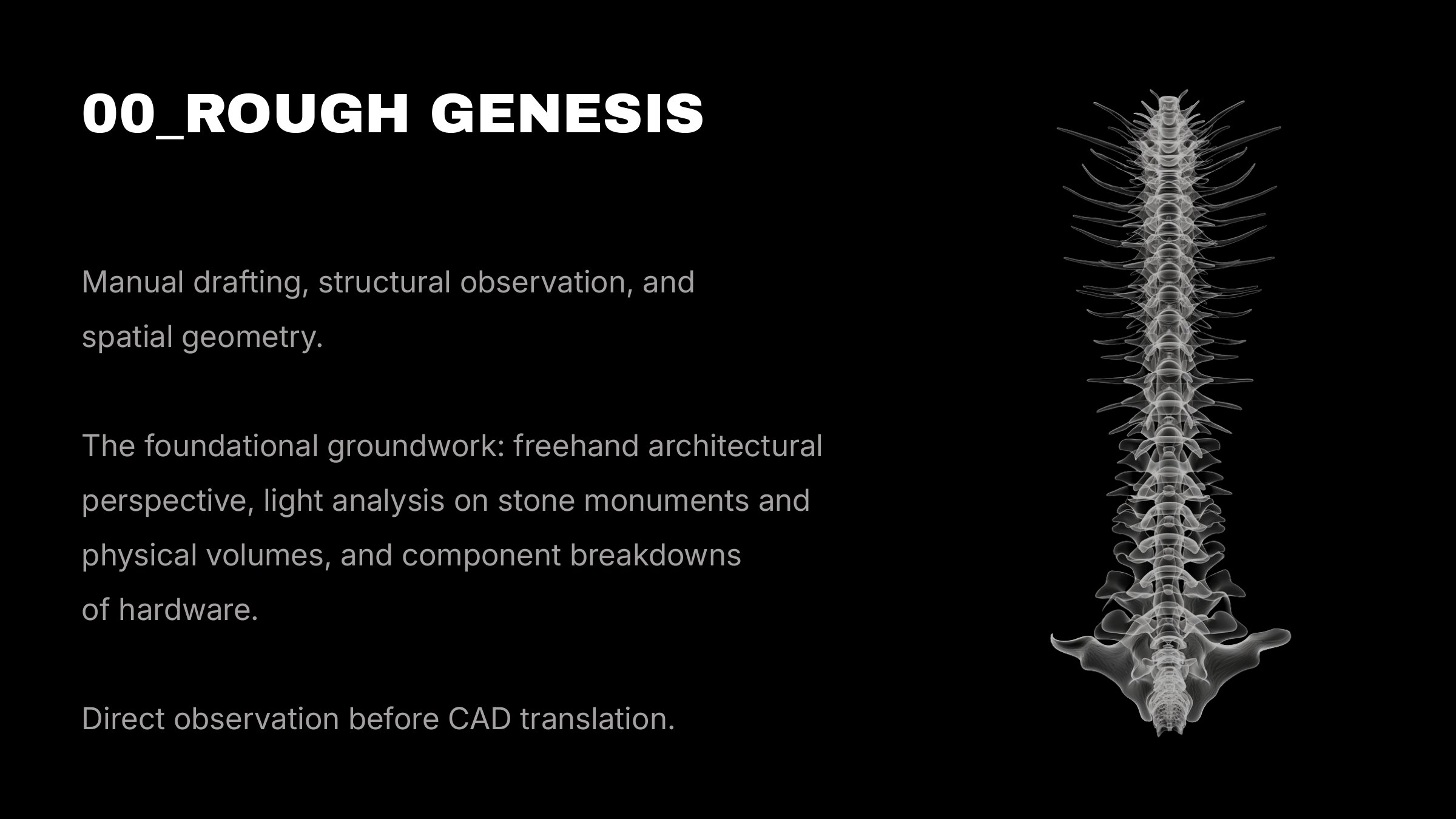 Rough Genesis cover: X-ray style render of a human spine on black next to the statement on analog drafting and volumetric translation